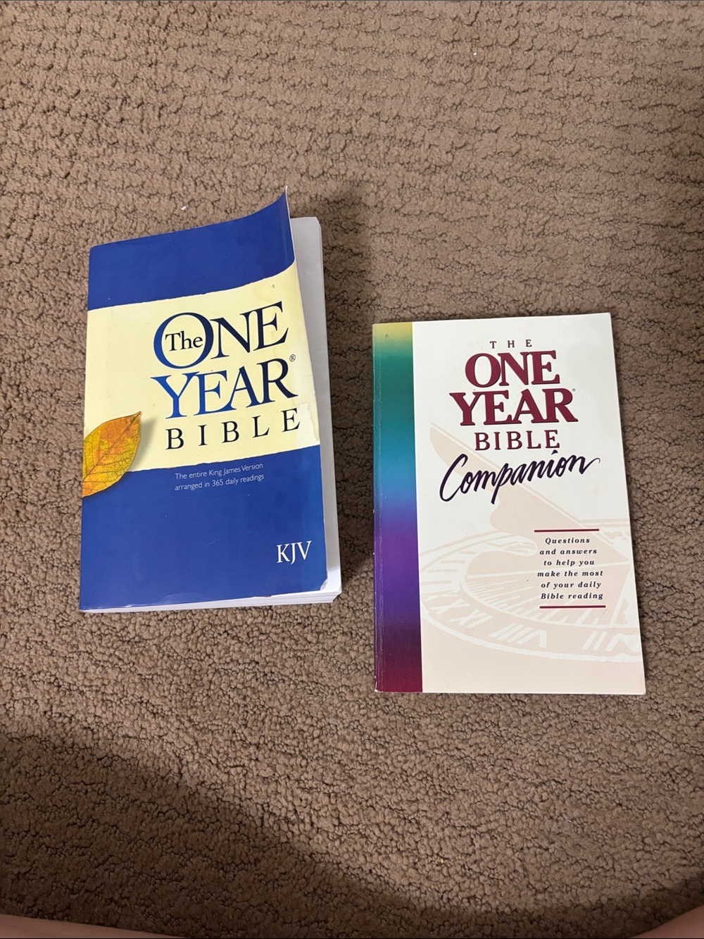 The One Year Bible KJV - Blue & Cream Set